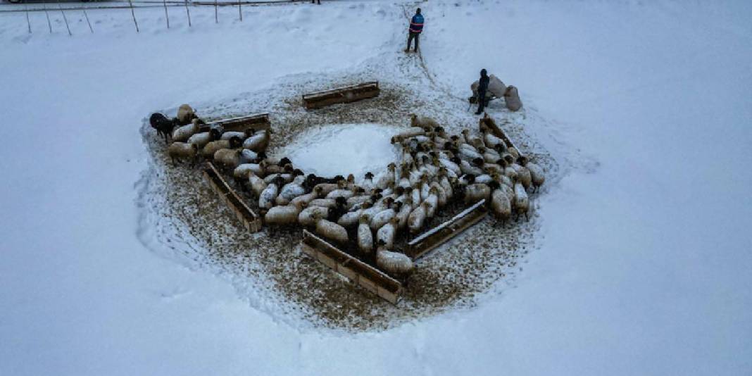 Kar 3 metreyi buluyor, köy kar altında kalıyor: Besicilerin mesaisi soğukla daha da zorlaşıyor 1